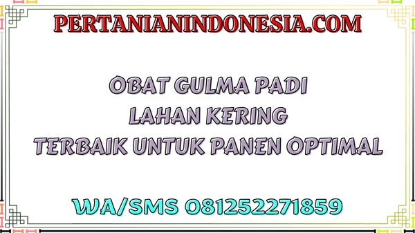 Obat Gulma Padi Lahan Kering Terbaik Untuk Panen Optimal